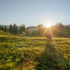Y_Magazin_58_Herbst_2026_Schwyz_B0000554_(c)zuerrer_fotografie_VORSCHAU.jpg